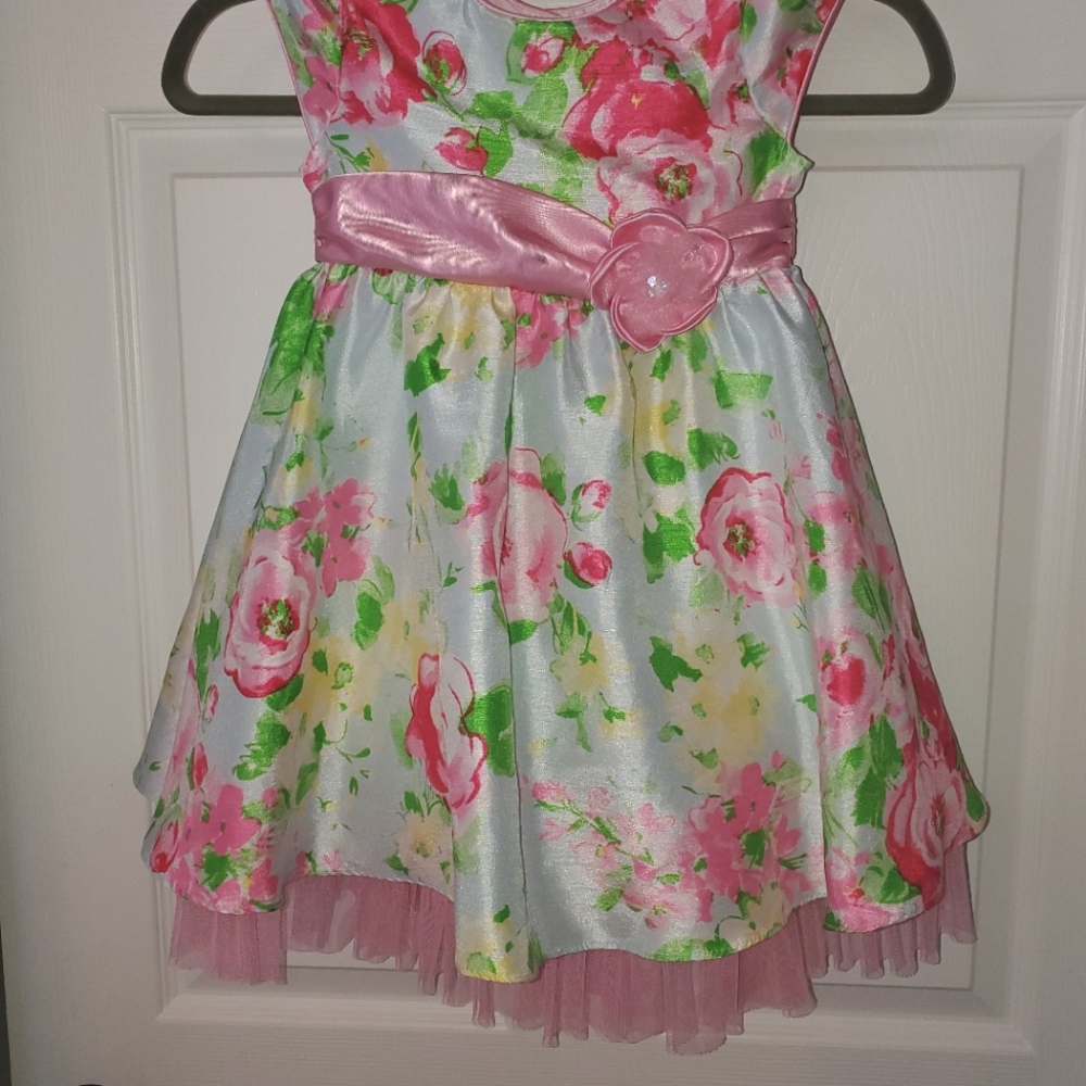 Girls Special Occasion or Dress Up Dress
